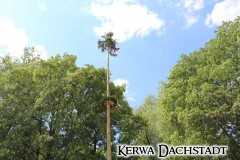 Kerwa_2023_410