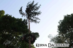 Kerwa_2025_Mo_029