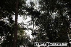 Kerwa_2025_Mo_038