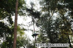 Kerwa_2025_Mo_039