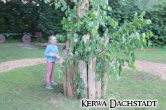Kerwa_2025_Mo_161
