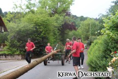 Kerwa_2025_Sa_017