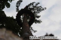 Kerwa_2025_Sa_158