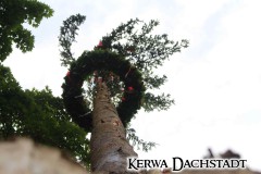 Kerwa_2025_Sa_159