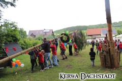 Kerwa_2025_So_178